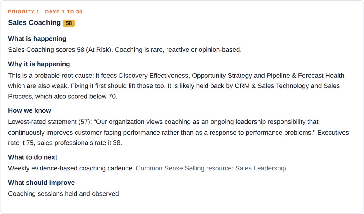 A priority initiative from a sample Revenue Optimization Plan